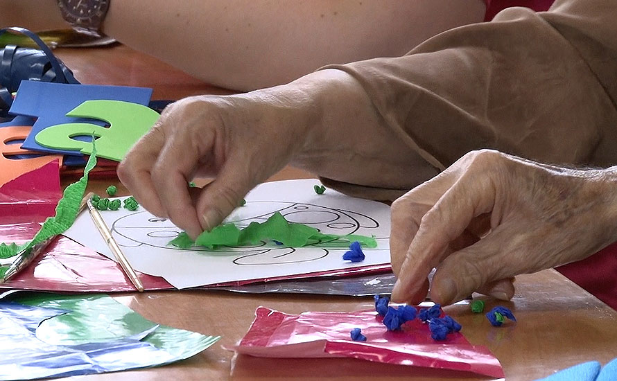 Consejera de Ciudadanía y derechos sociales