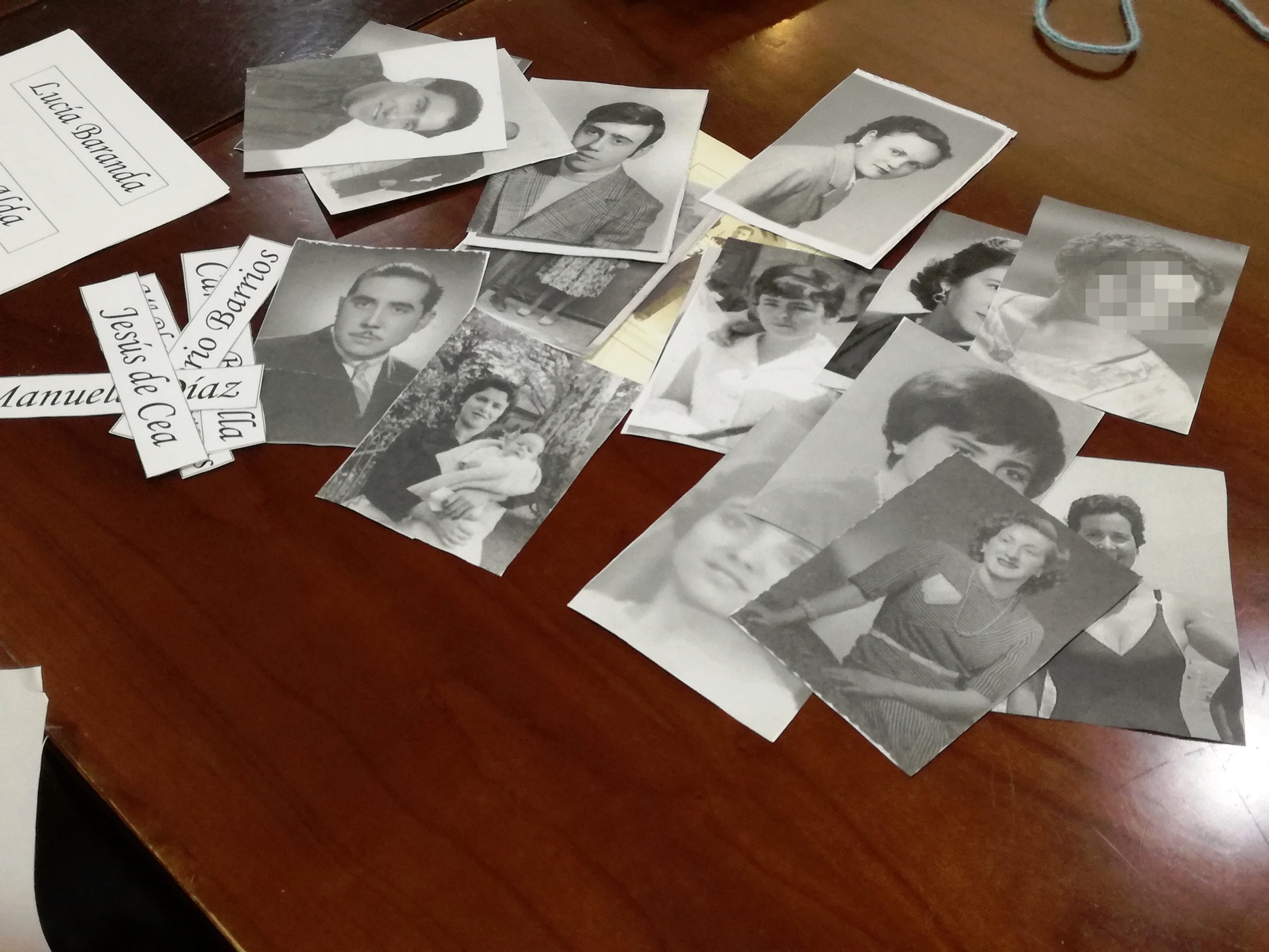 residencia las palmeras