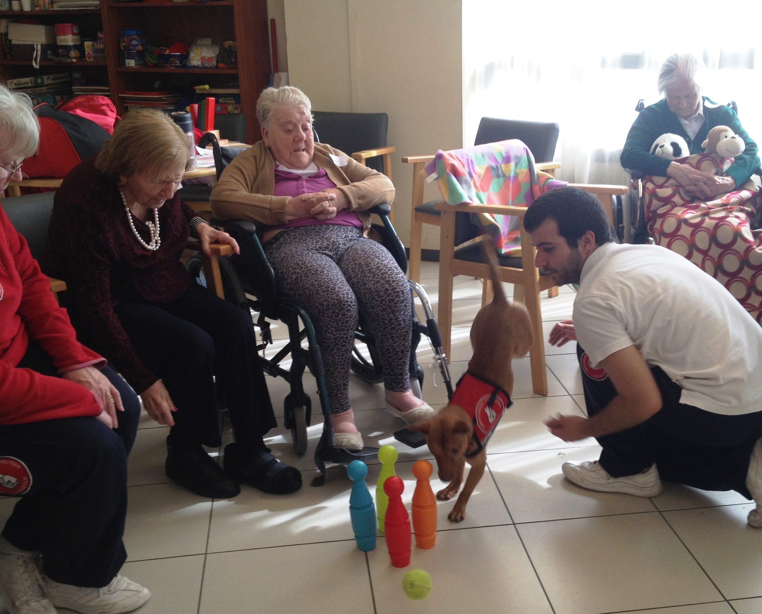 terapia asistida animales taa