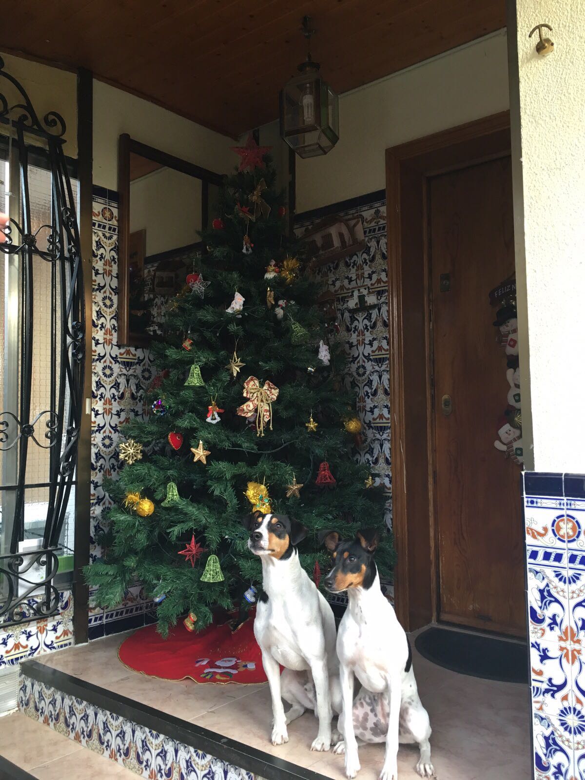 residencia mayores albertia