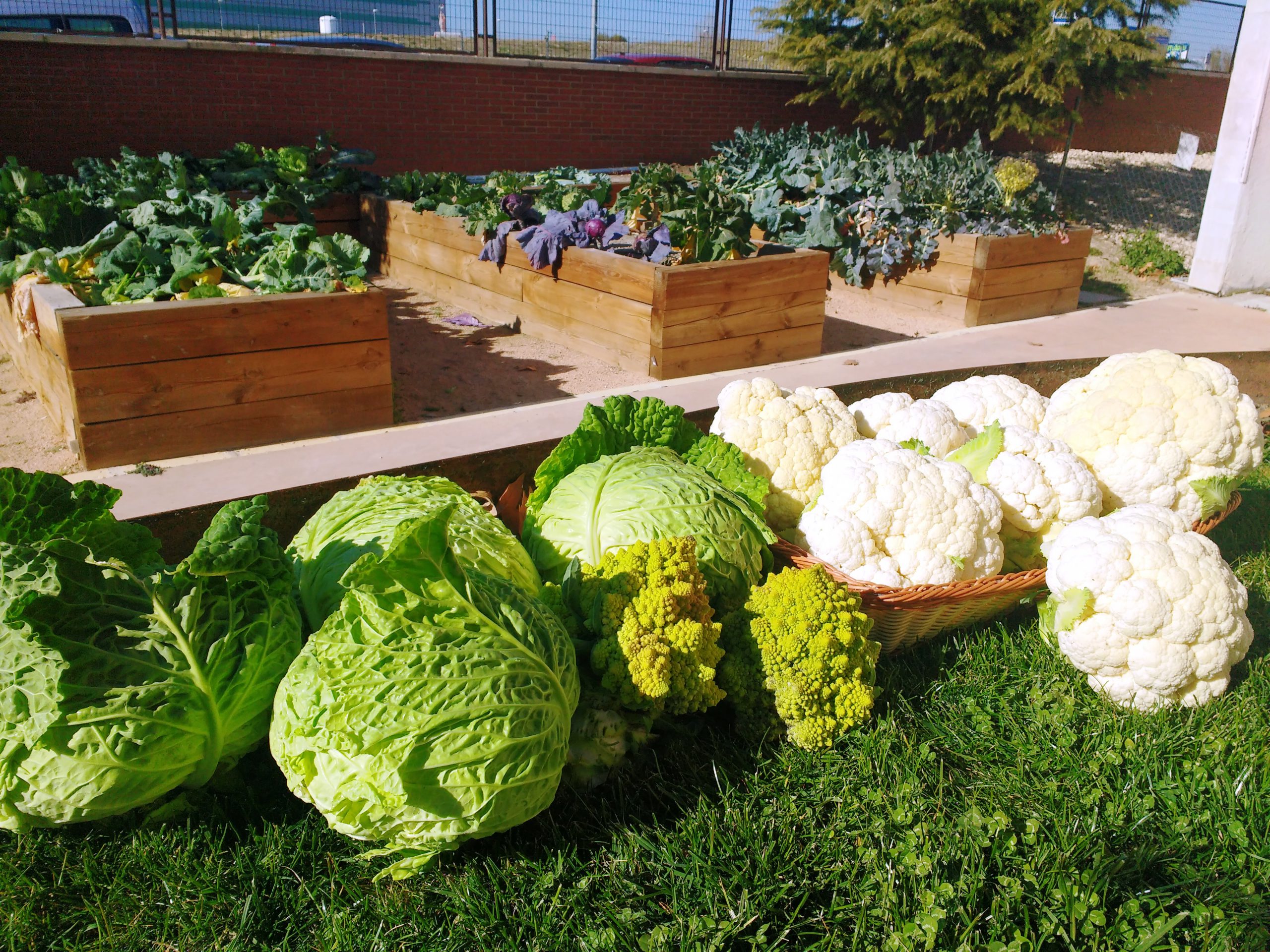 residencias mayores públicas majadahonda