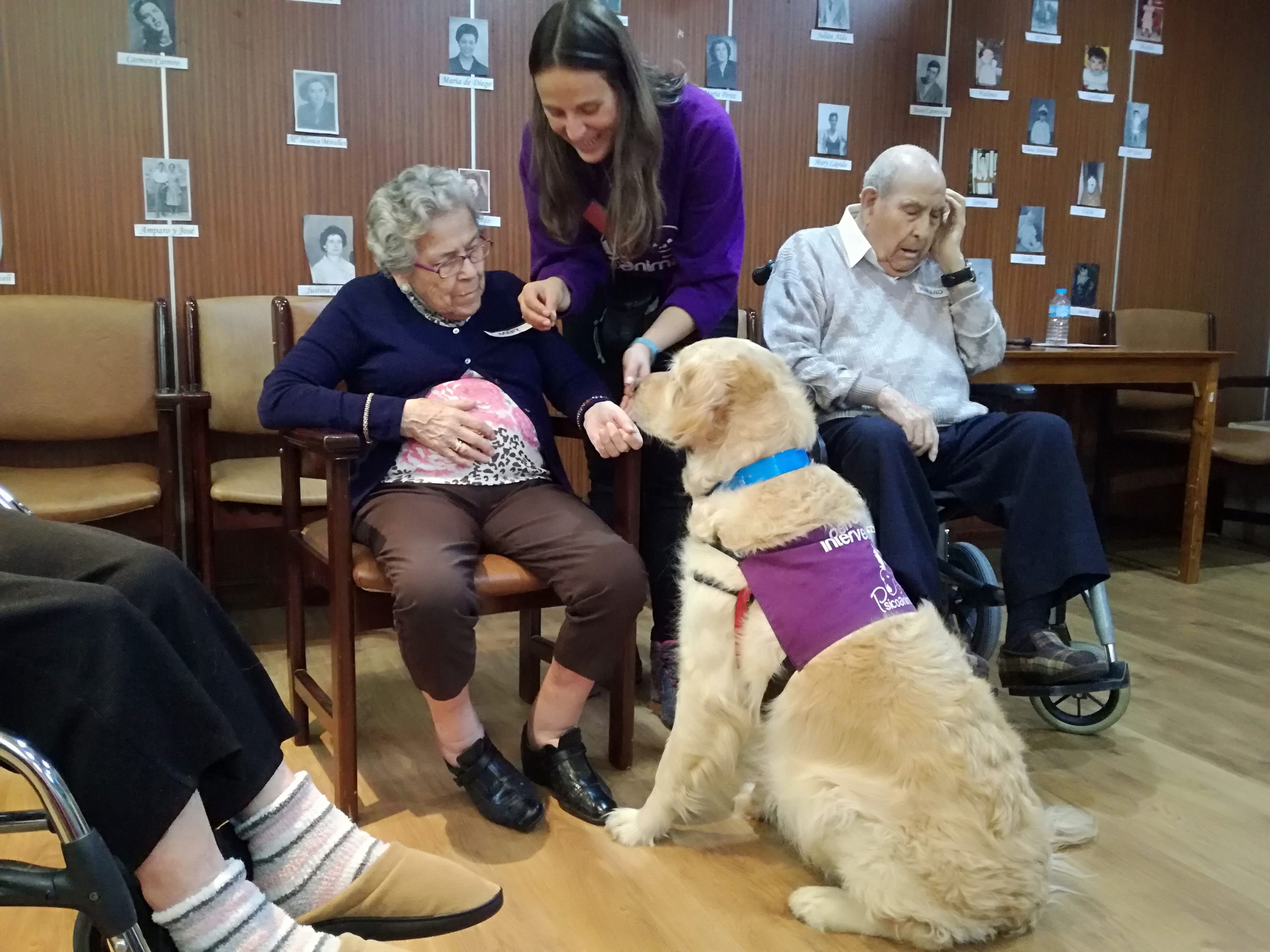 terapia asistida con animales perros albertia las palmeras residencia mayores azuqueca henares