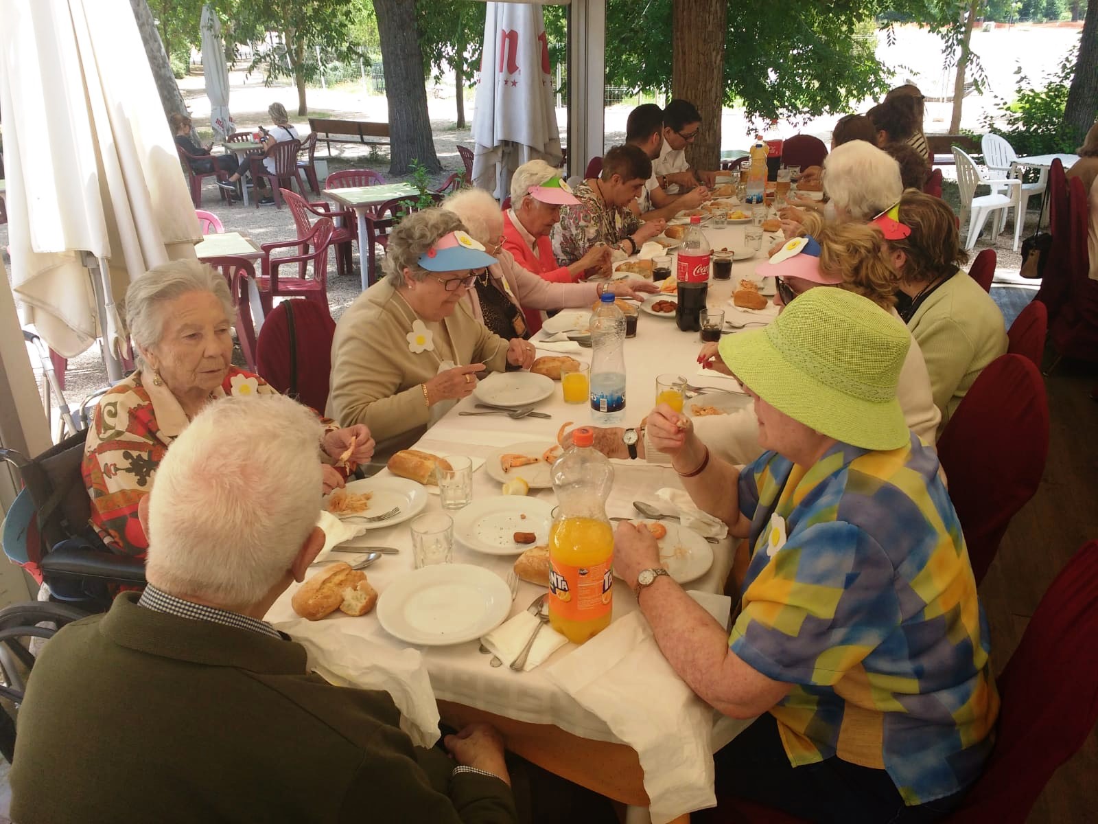 residencia de mayores de majadahonda albertia valle de la oliva