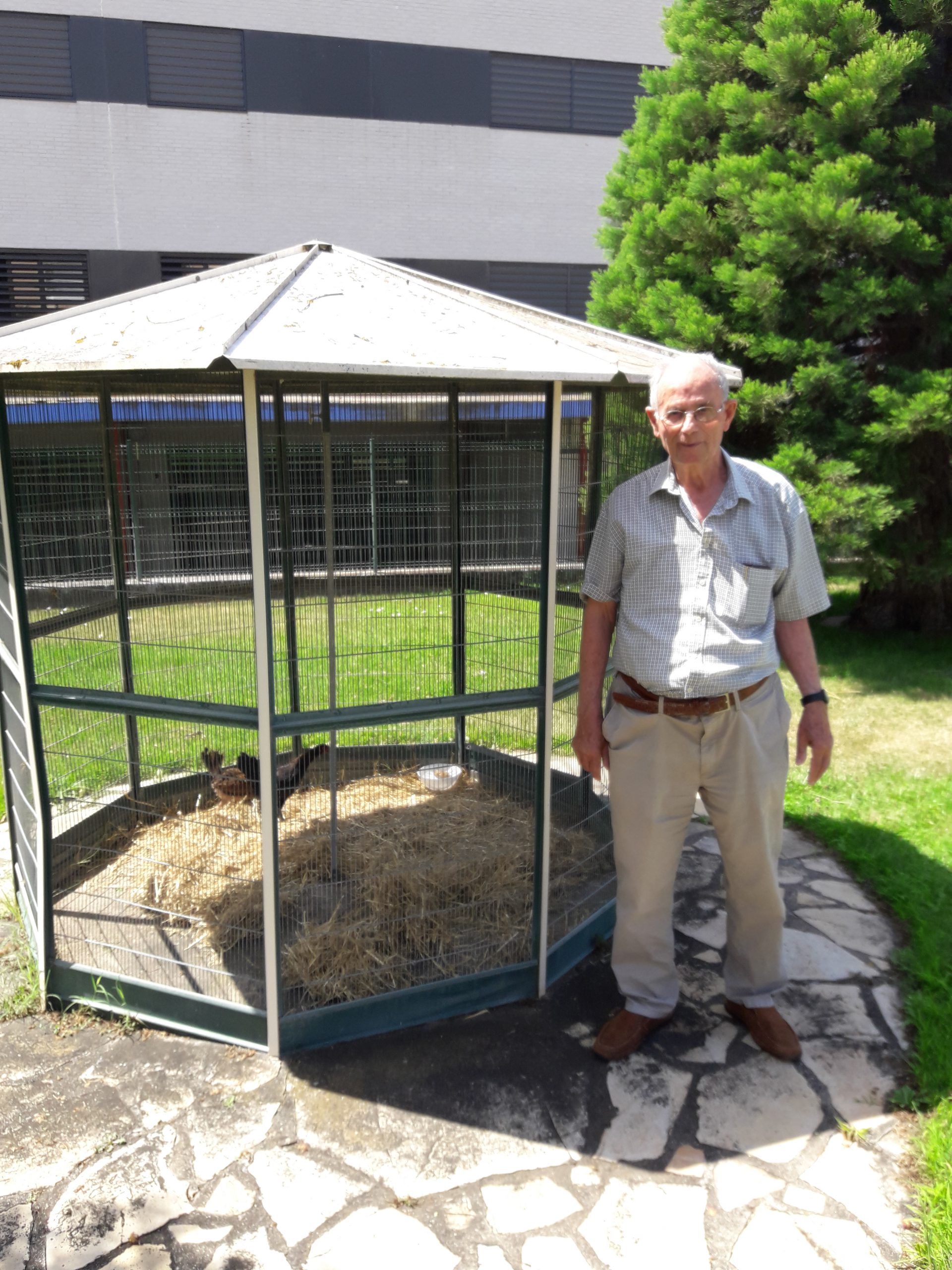 residencia de barbastro las huertas albertia gallinas taa