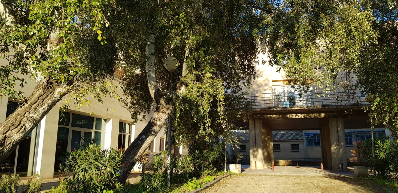 residencia mayores de alagon albertia aniversario iass