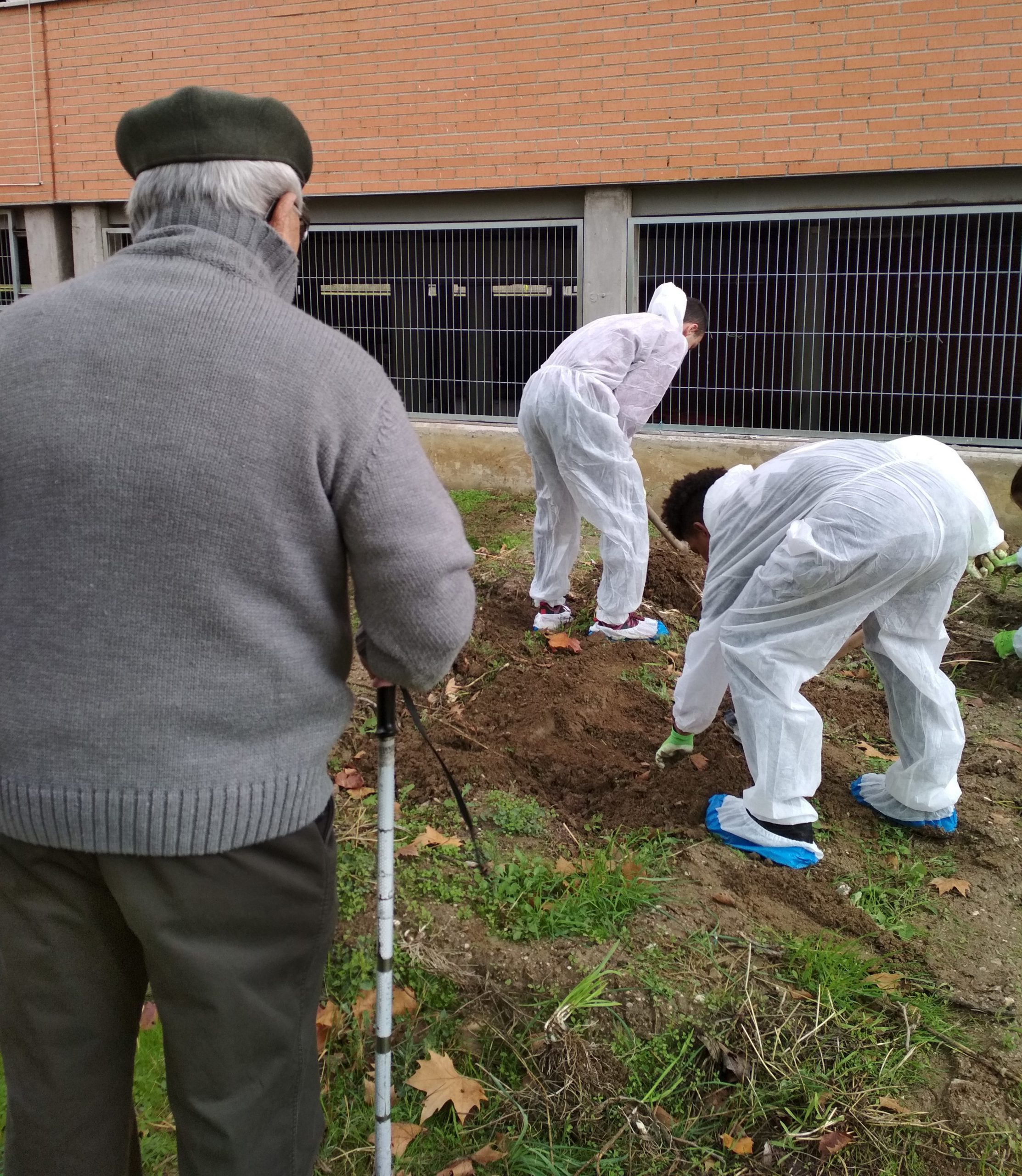 Programa intergeneracional residencia mayores san sebastian de los reyes albertia