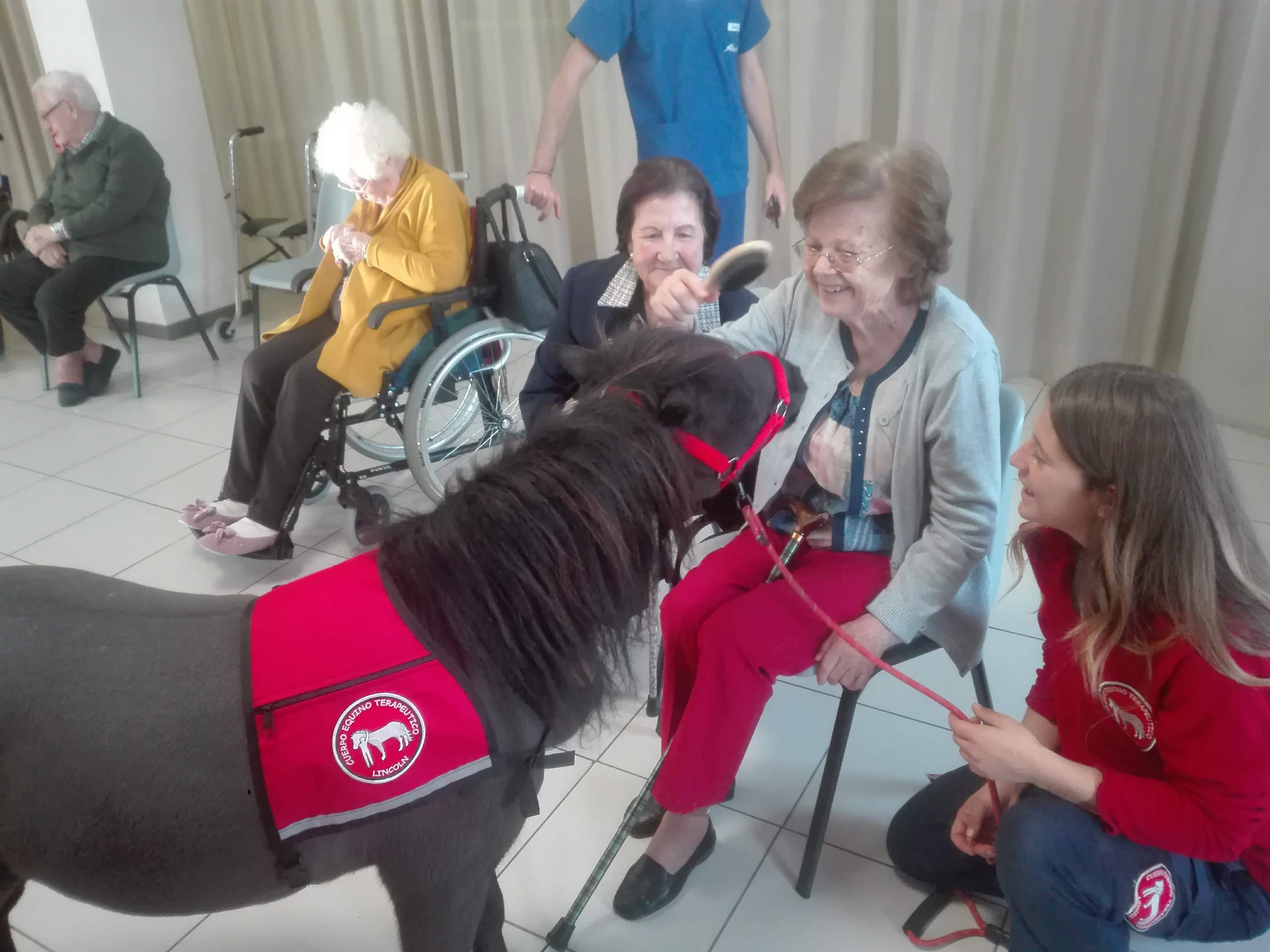 terapia asistida con caballos residencia de mayores albertia valle de la oliva majadahonda
