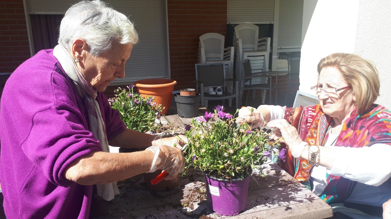 huerto terapeutico residencia mayores albertia el moreral