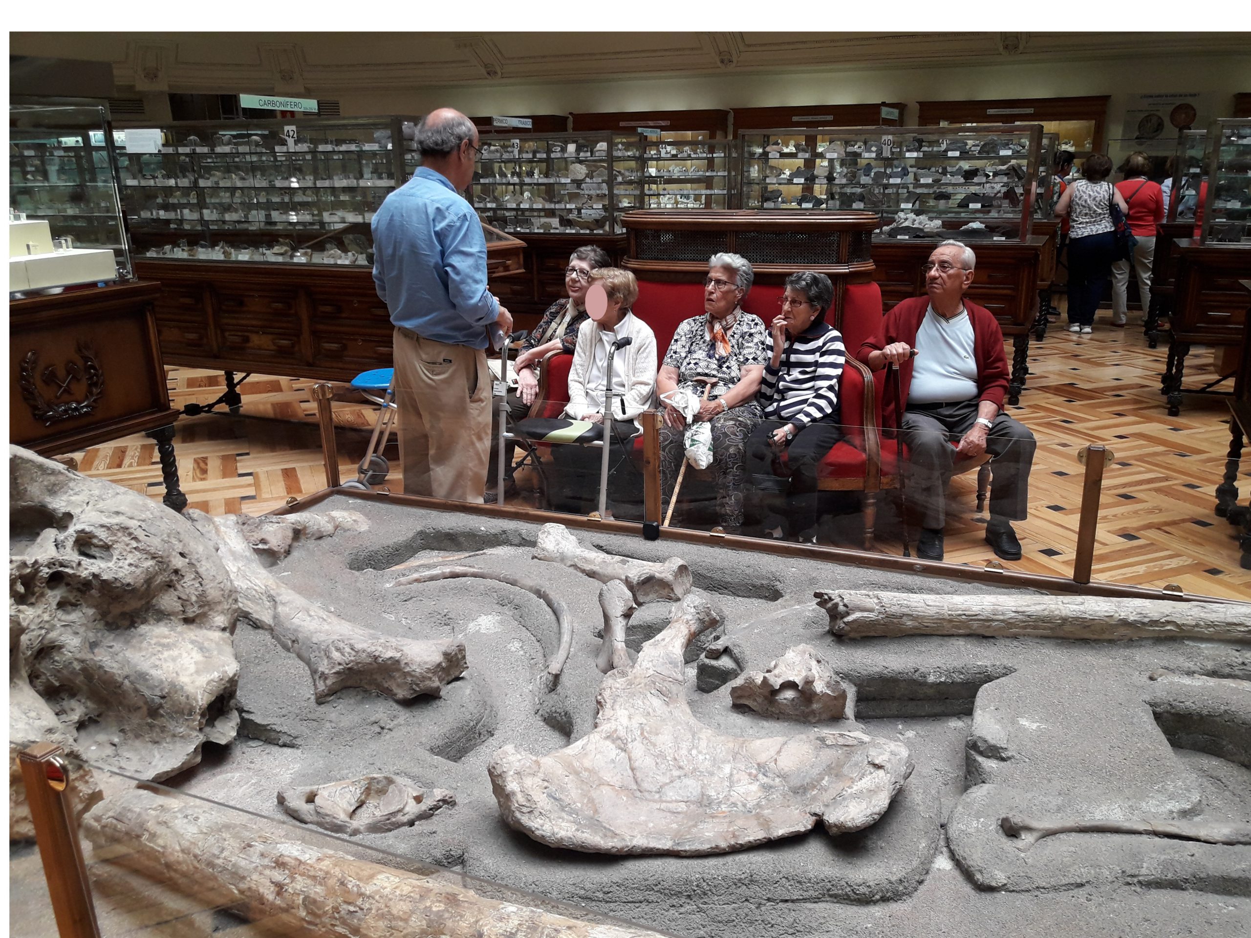 residencia de villaverde albertia plata y castañar mayores museo geominero