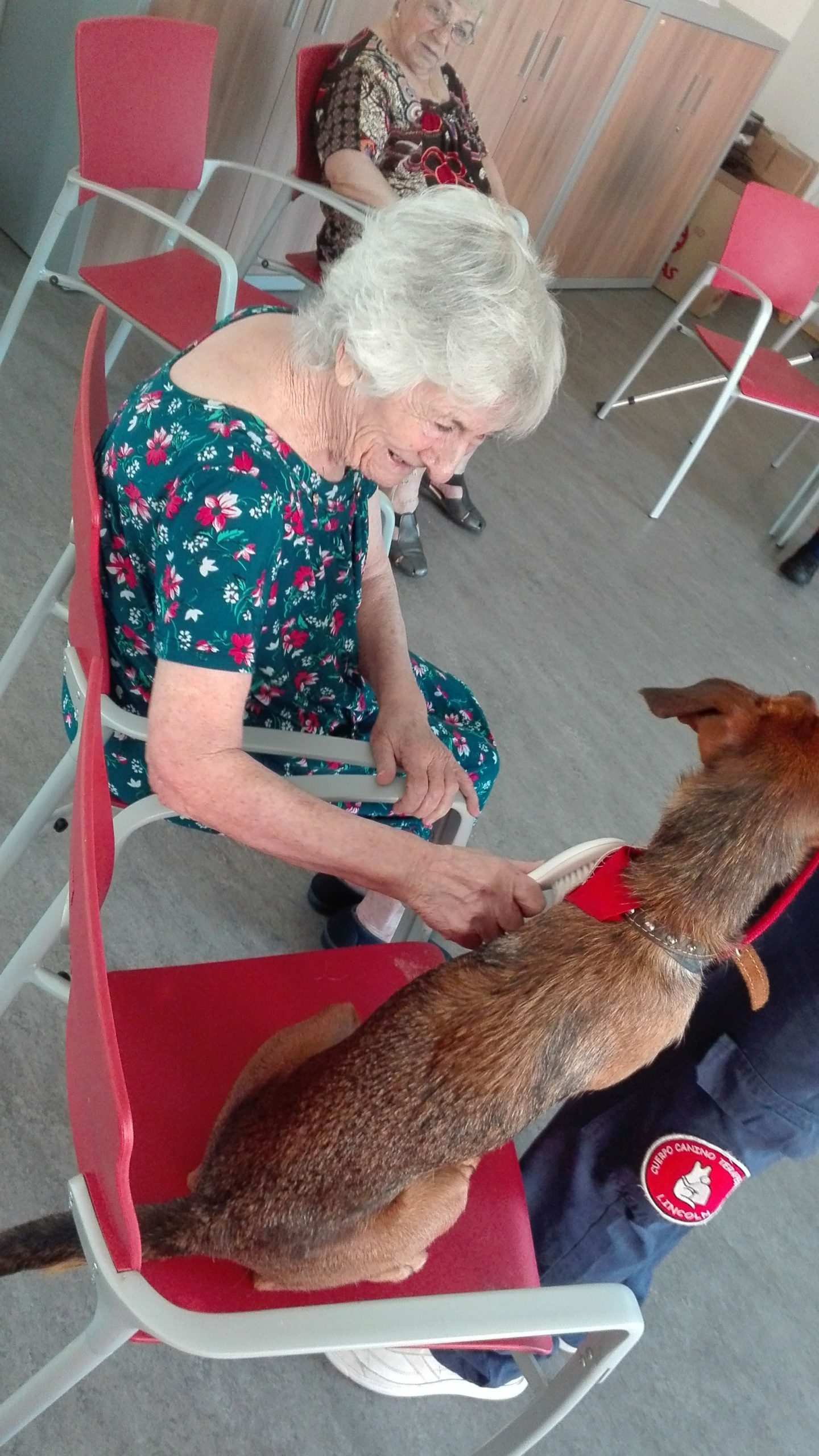 terapia asistida con animales residencia de mayores albertia ciempozuelos las vegas