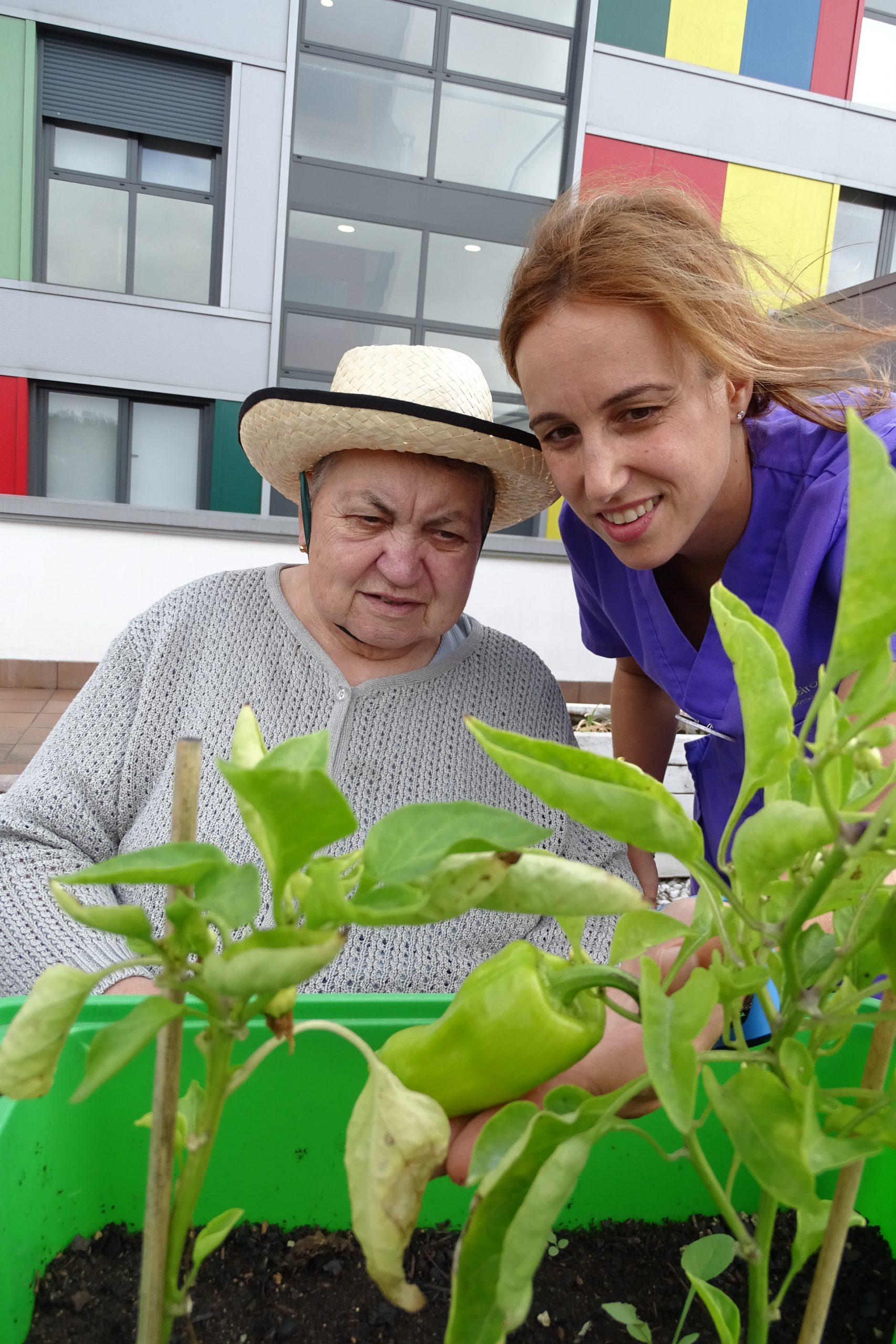 huerto terapeutico residencia mayores albertia lugo