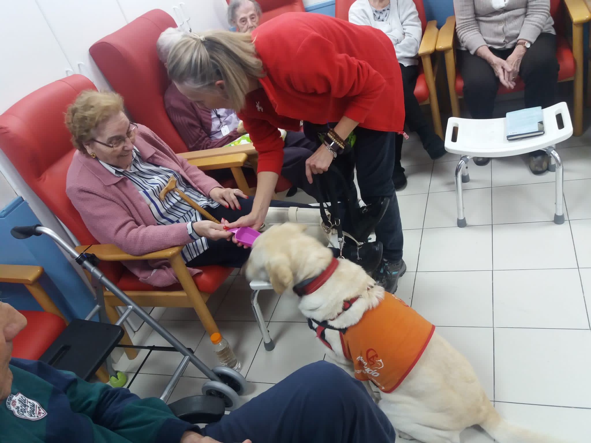 apartamentos albertia mirasierra terapia con animales