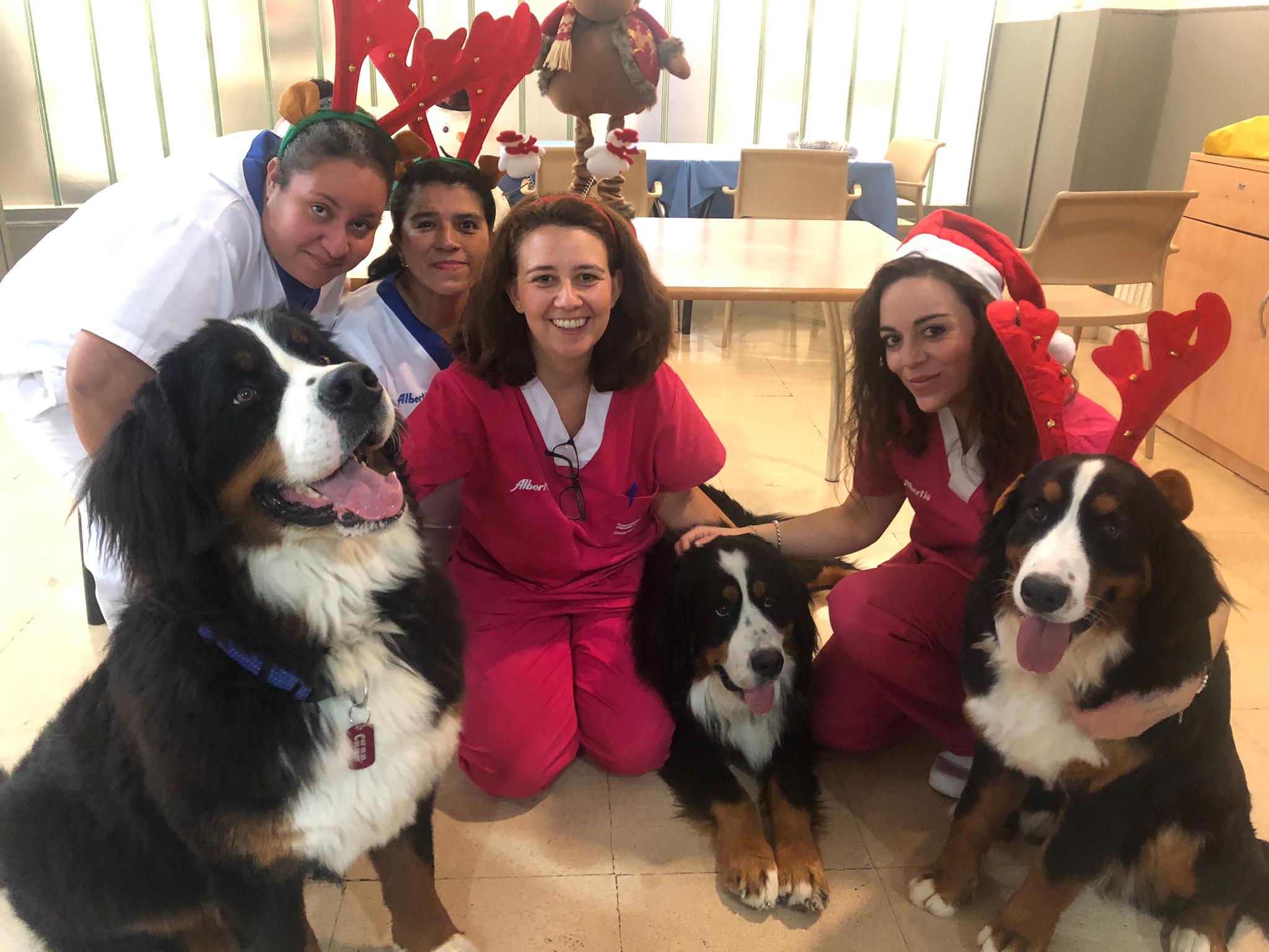 asgecan terapias navidad residencia mayores albertia