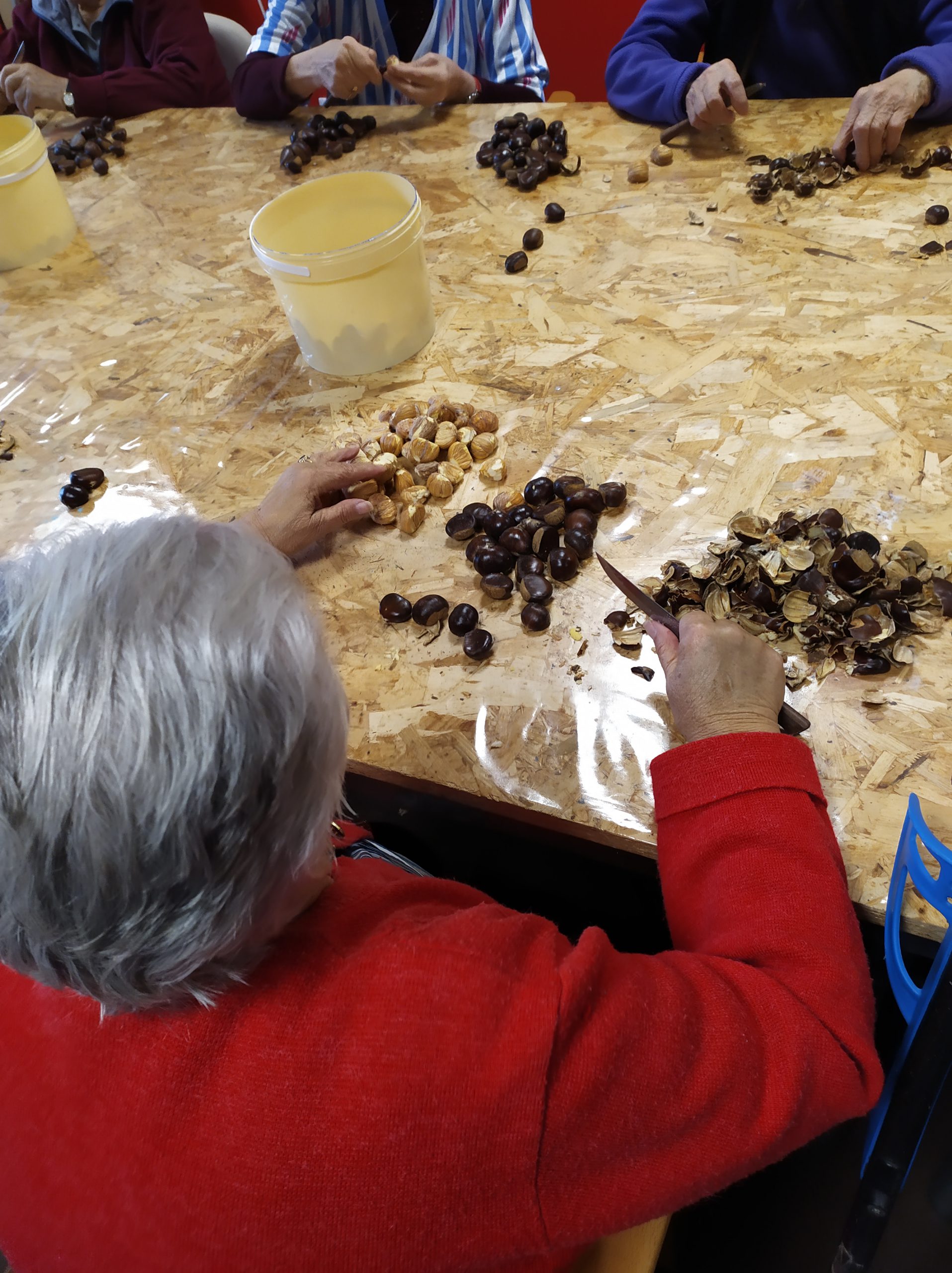 magosto residencia mayores albertia lugo