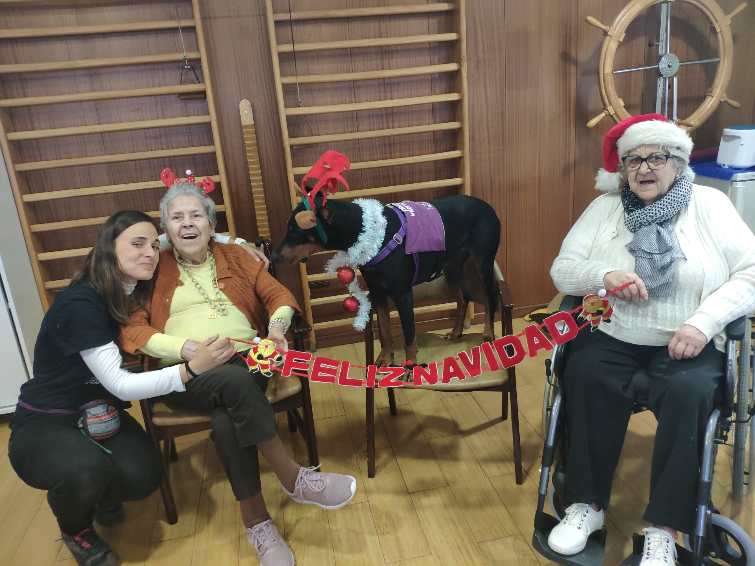 navidad residencia las palmeras albertia